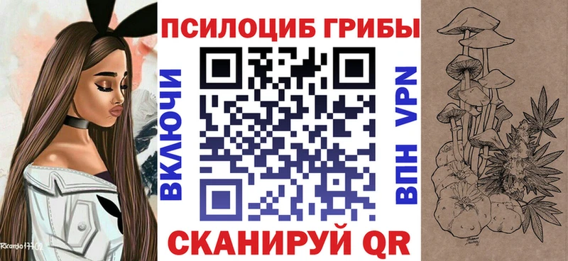 где найти наркотики  Кирс  Псилоцибиновые грибы Cubensis 